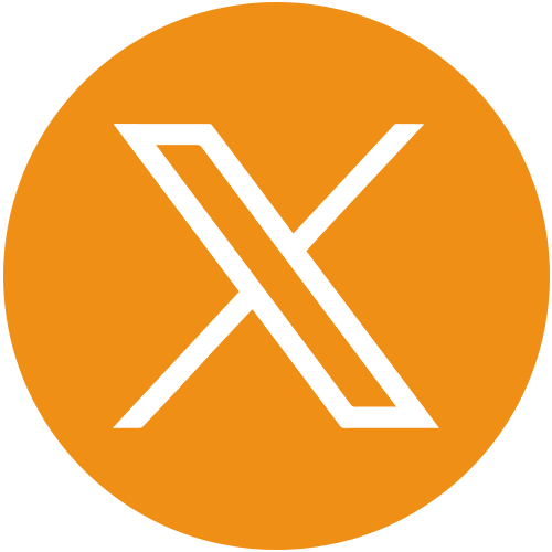 X icon